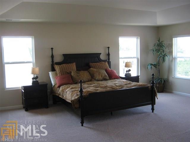 1220 Vienna Ct, Hampton, GA 30228 photo 18
