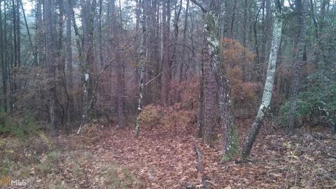 6 Yonah Lake Rd, Toccoa, GA 30577 photo 4