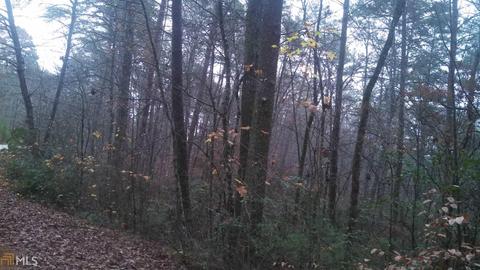6 Yonah Lake Rd, Toccoa, GA 30577 photo 6