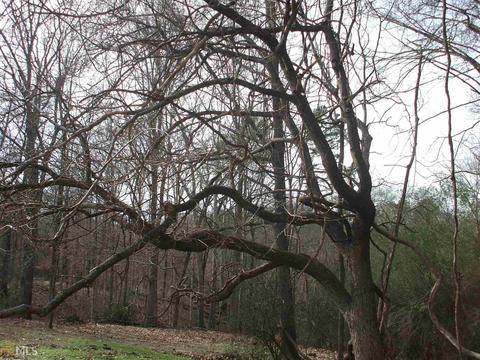 438 Wrights Mill Rd, Commerce, GA 30529 photo 14