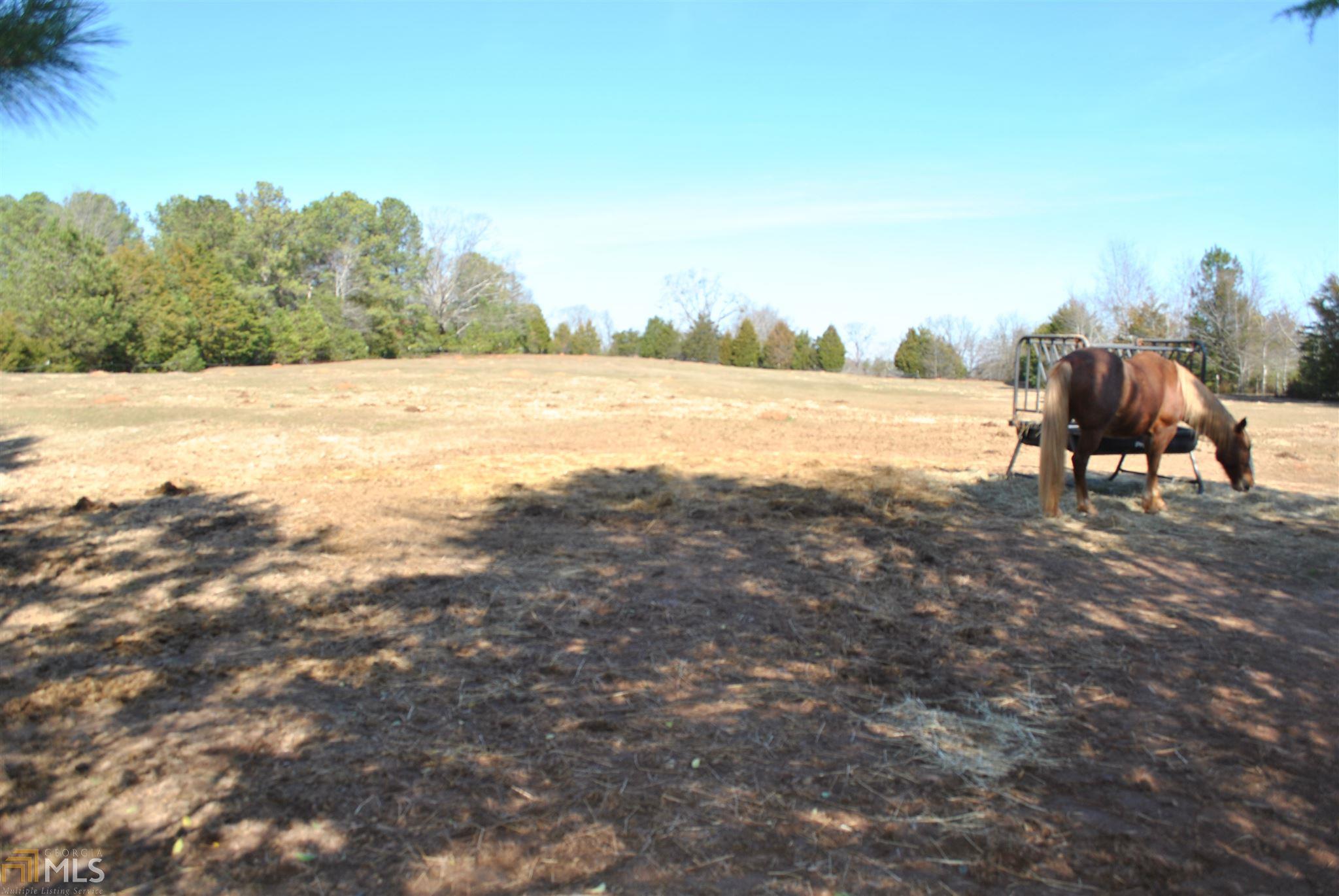 361 Wehunt Rd, Covington, GA 30016 photo 18