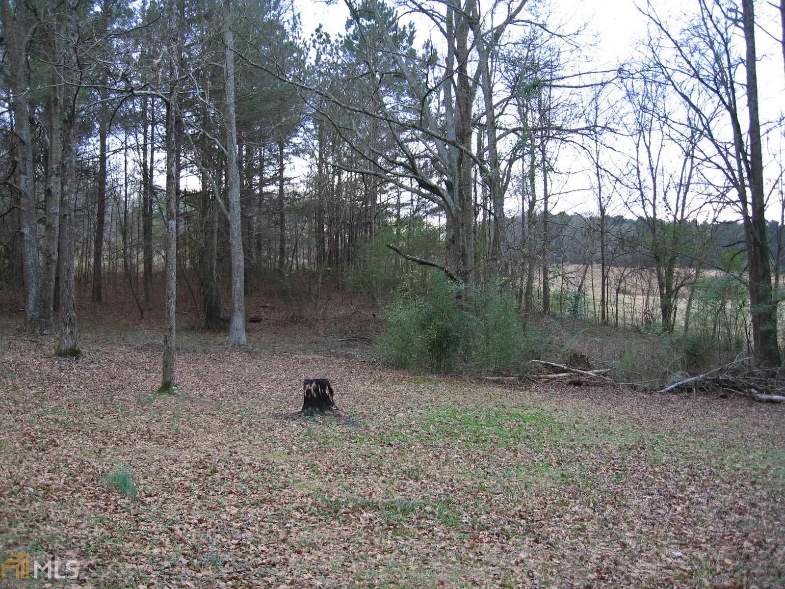 1027 River Bluff Dr, Winder, GA 30680 photo 4