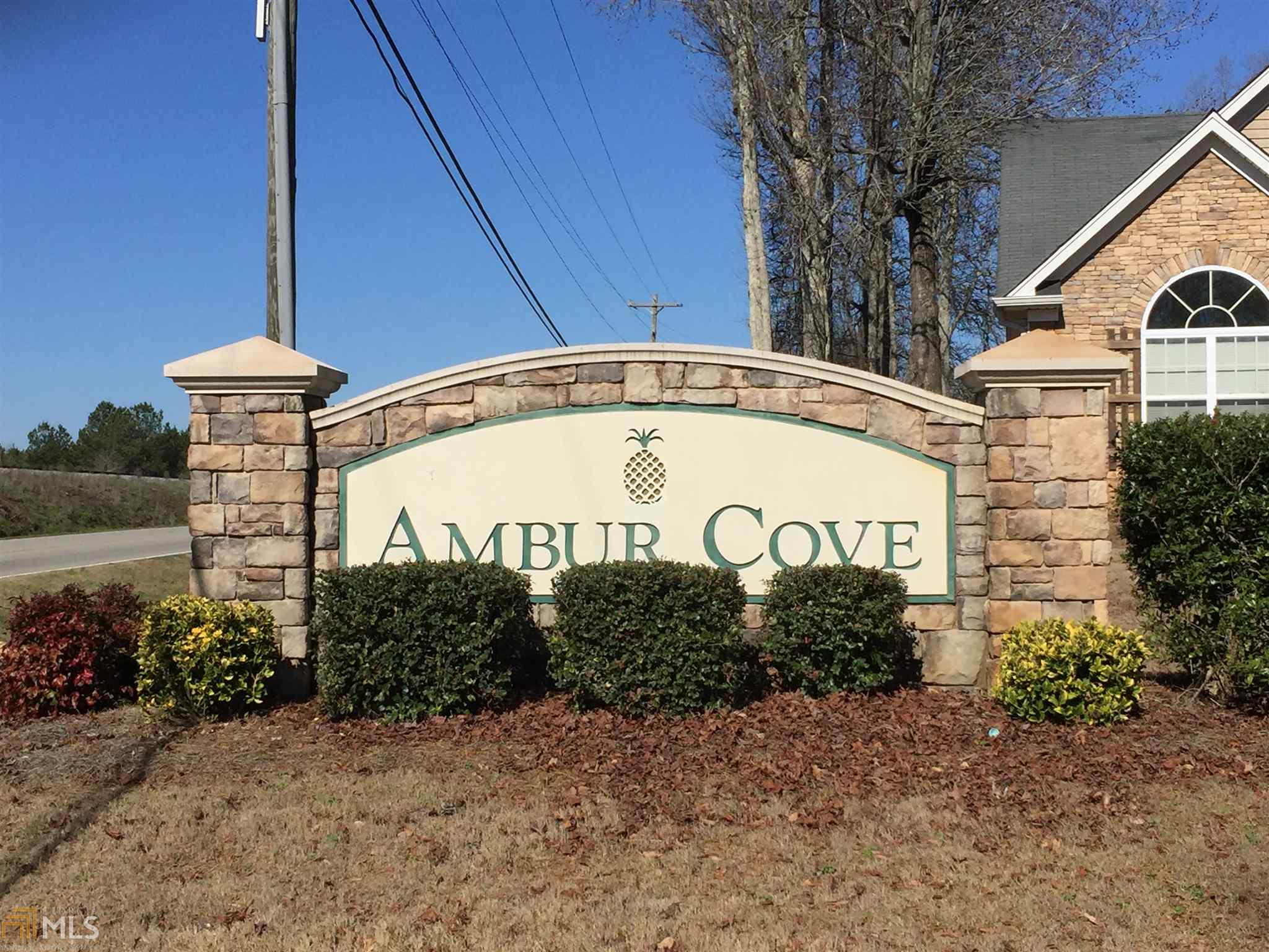 239 Sandstone Dr, Hampton, GA 30228 photo 36