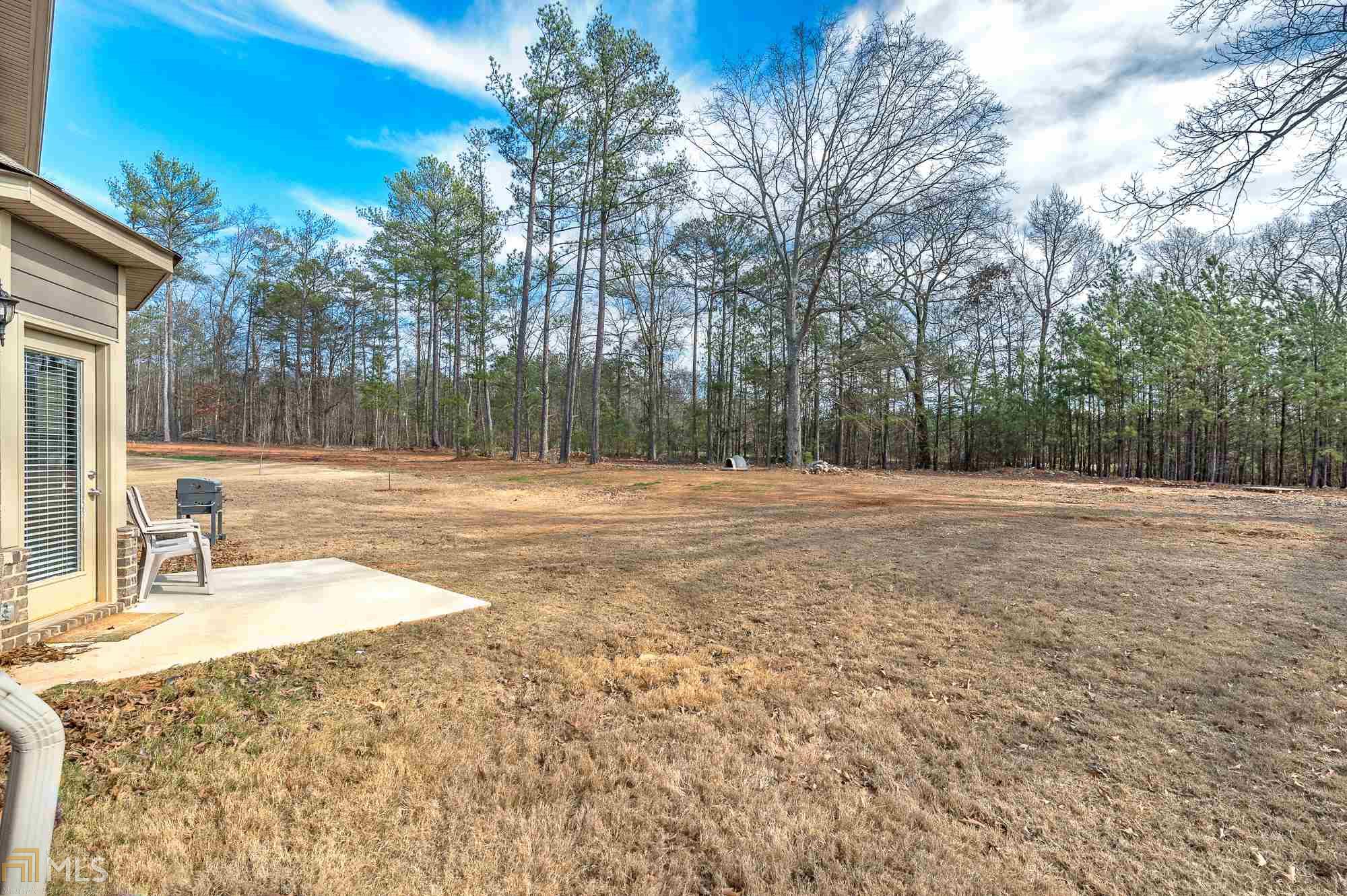 201 Christopher Michael Ln, Hampton, GA 30228 photo 2