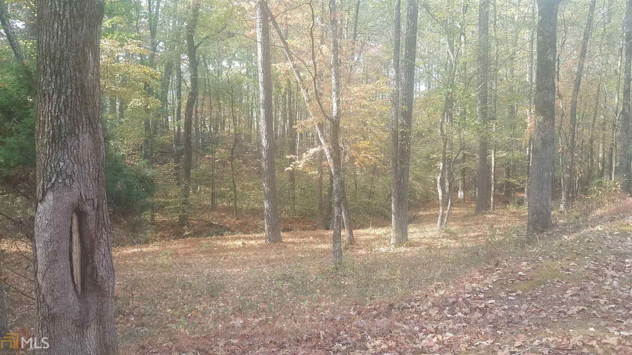 366 Buckingham, Covington, GA 30016 photo 35