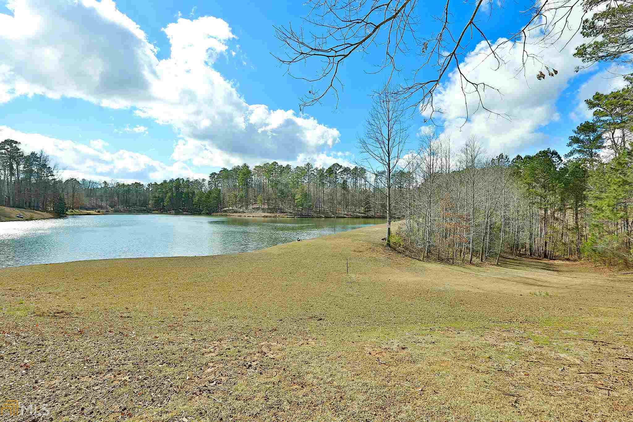 143 Shoreline Way, Hampton, GA 30228 photo 33