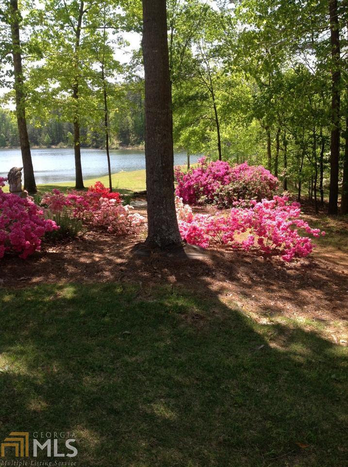 143 Shoreline Way, Hampton, GA 30228 photo 34