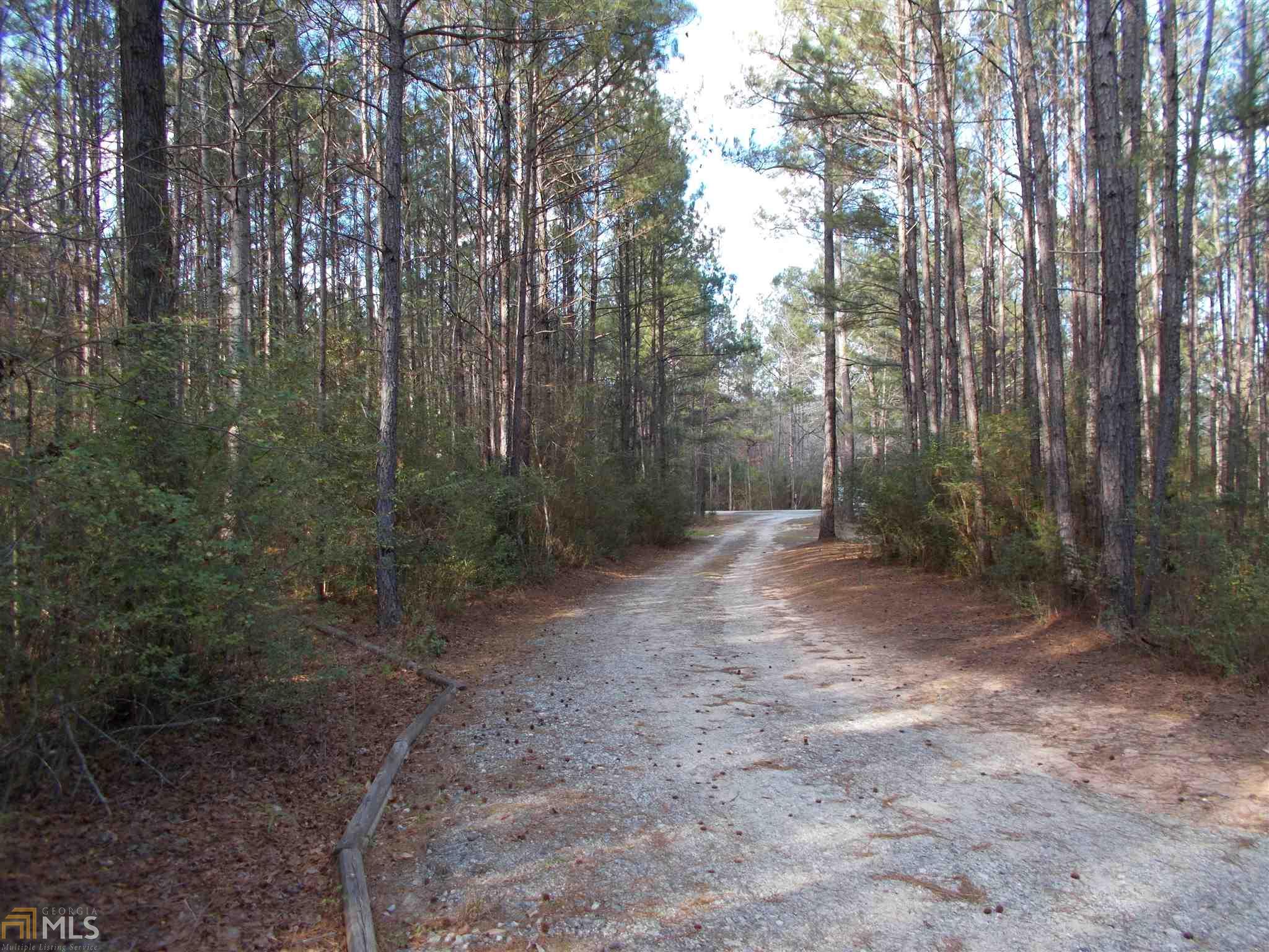 111 E Ball, Jackson, GA 30233 photo 34