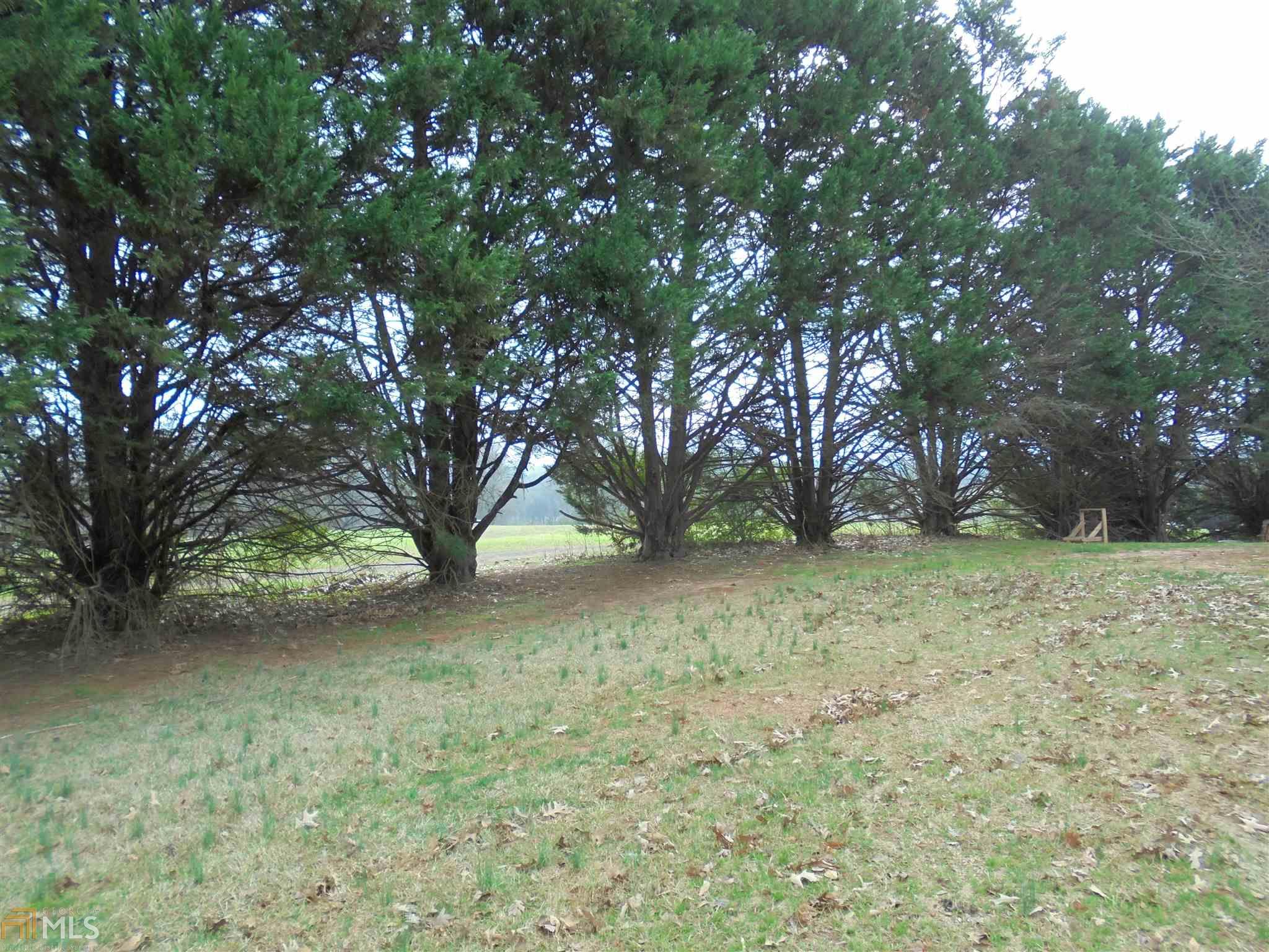 6041 Stonebridge Rd, Carnesville, GA 30521 photo 28
