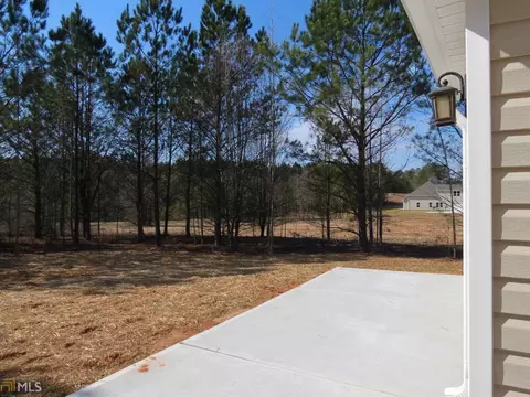 813 Smallwood Trce, Hampton, GA 30228 photo 9