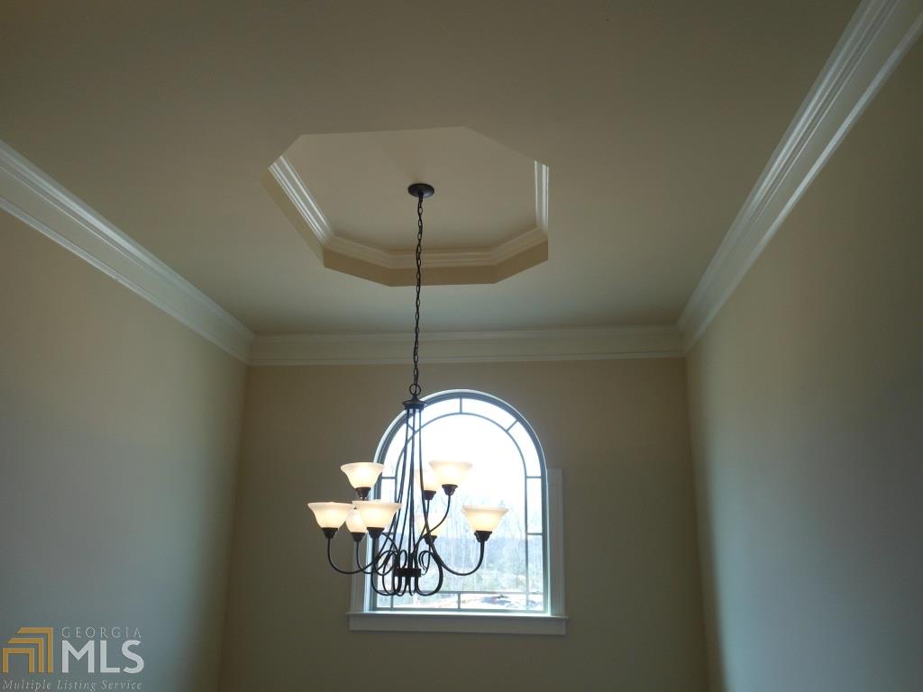 2904 Drummond Pt, Hampton, GA 30228 photo 17