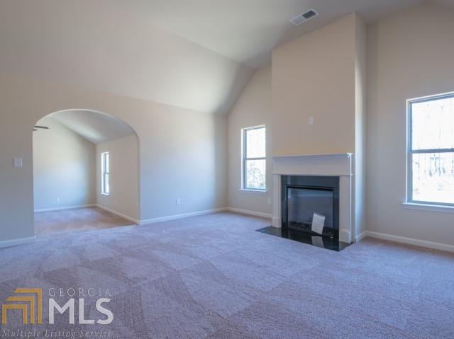 2909 Drummond Pt, Hampton, GA 30228 photo 15