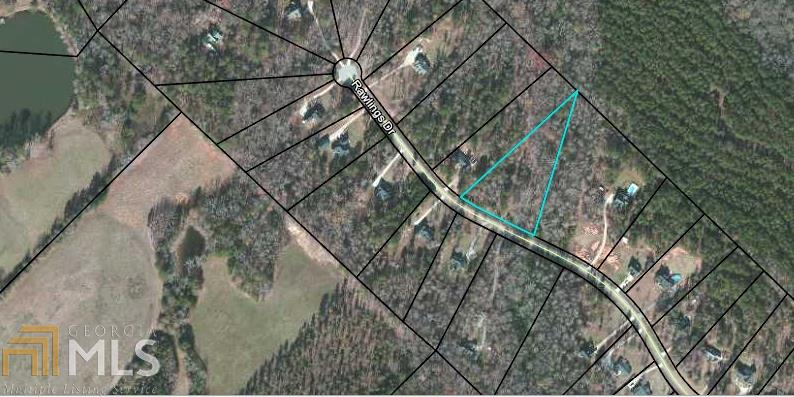 1161 Rawlings Dr, Rutledge, GA 30663 photo 4