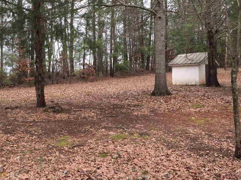 196 Mcmullen Rd, Forsyth, GA 31029 photo 25