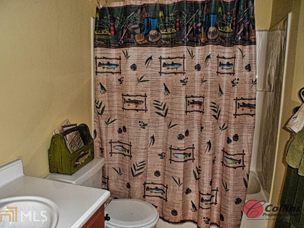 597 Soque Trl, Demorest, GA 30535 photo 26