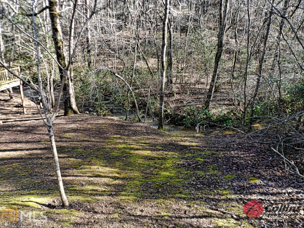597 Soque Trl, Demorest, GA 30535 photo 29