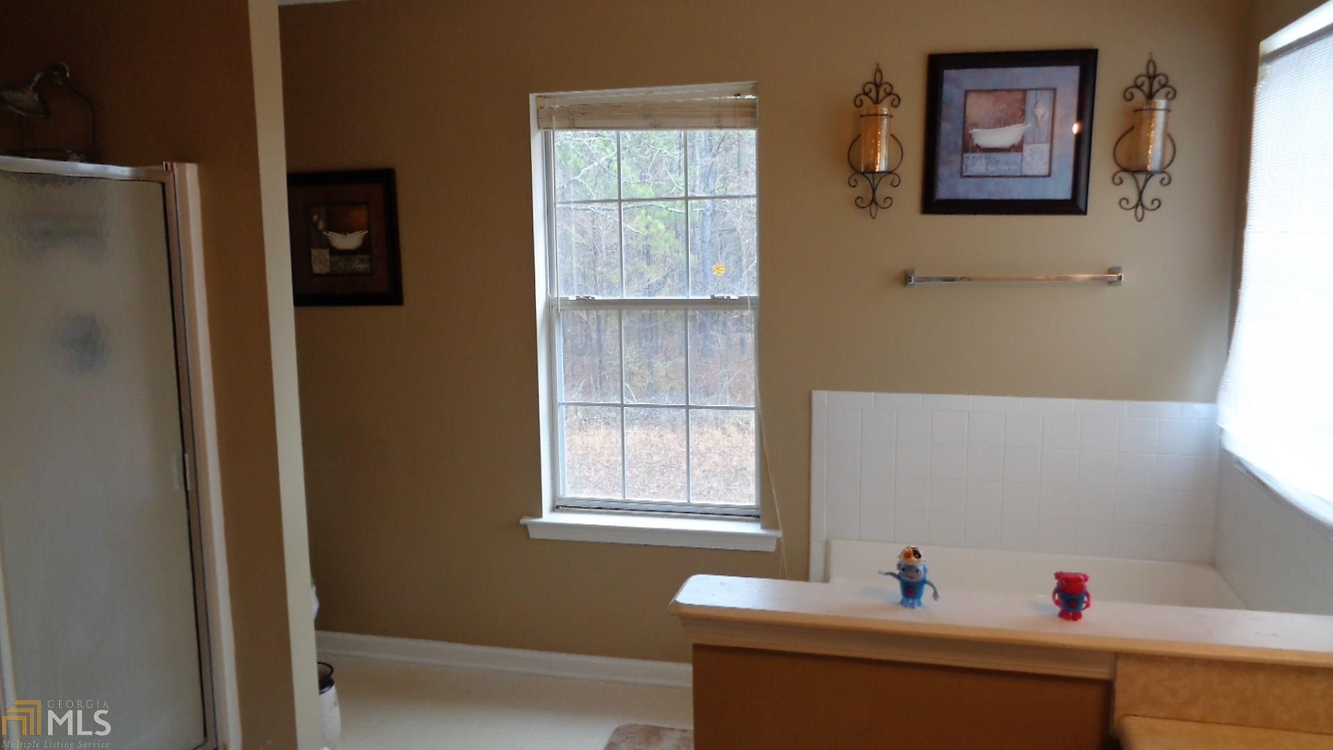 10795 Barberry Dr, Hampton, GA 30228 photo 15