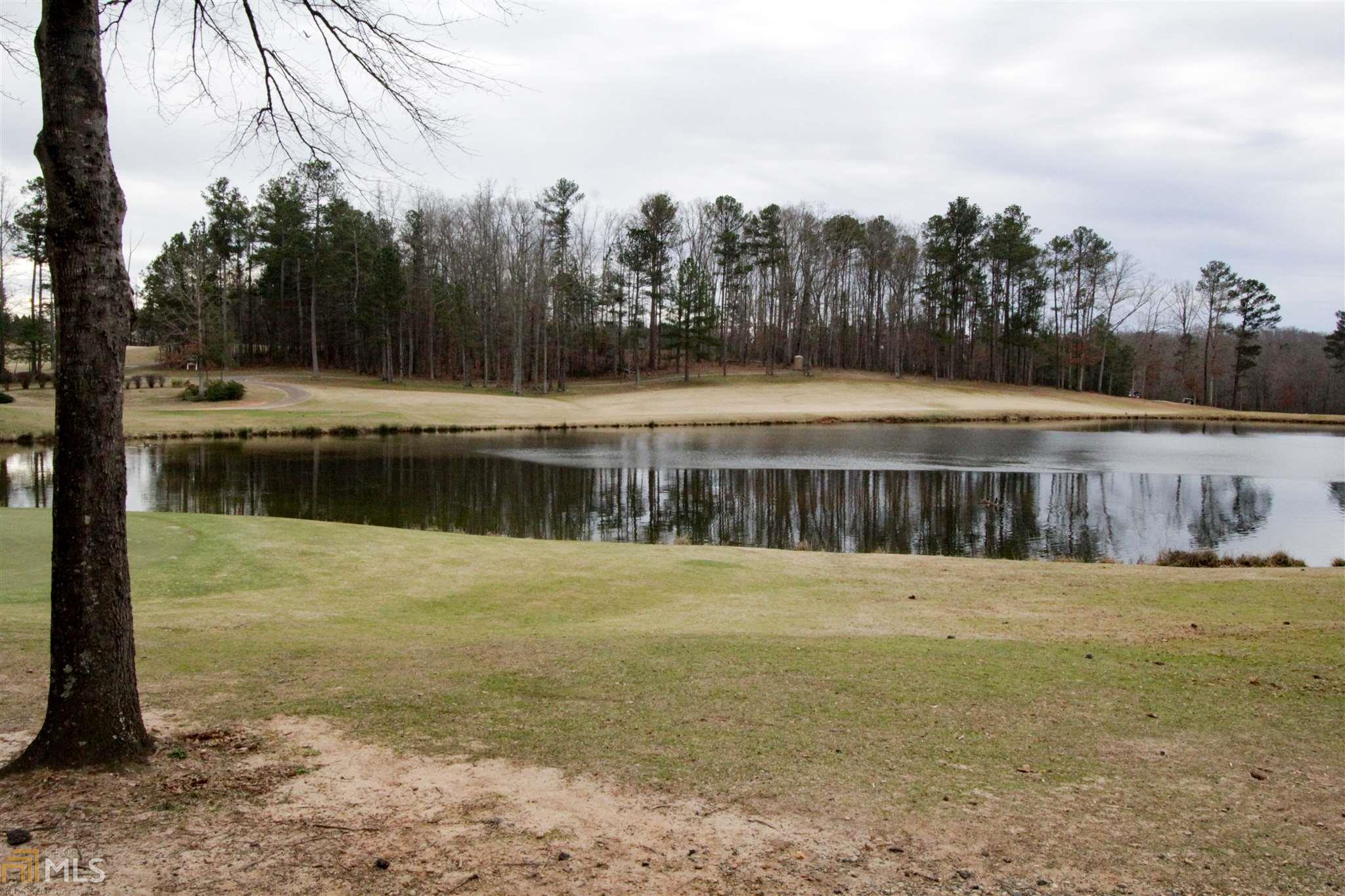 3365 Timberland Rd, Monroe, GA 30655 photo 15