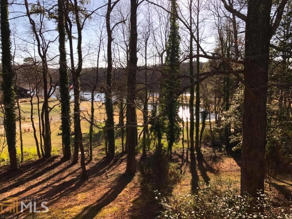 307 Black Mountain Rd, Toccoa, GA 30577 photo 36