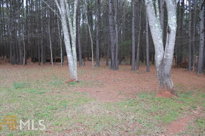 317 Gresham Rd, Zebulon, GA 30295 photo 5