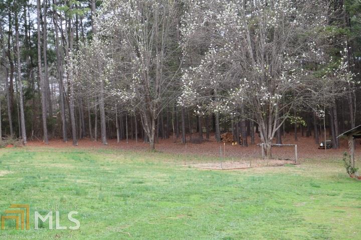 317 Gresham Rd, Zebulon, GA 30295 photo 4