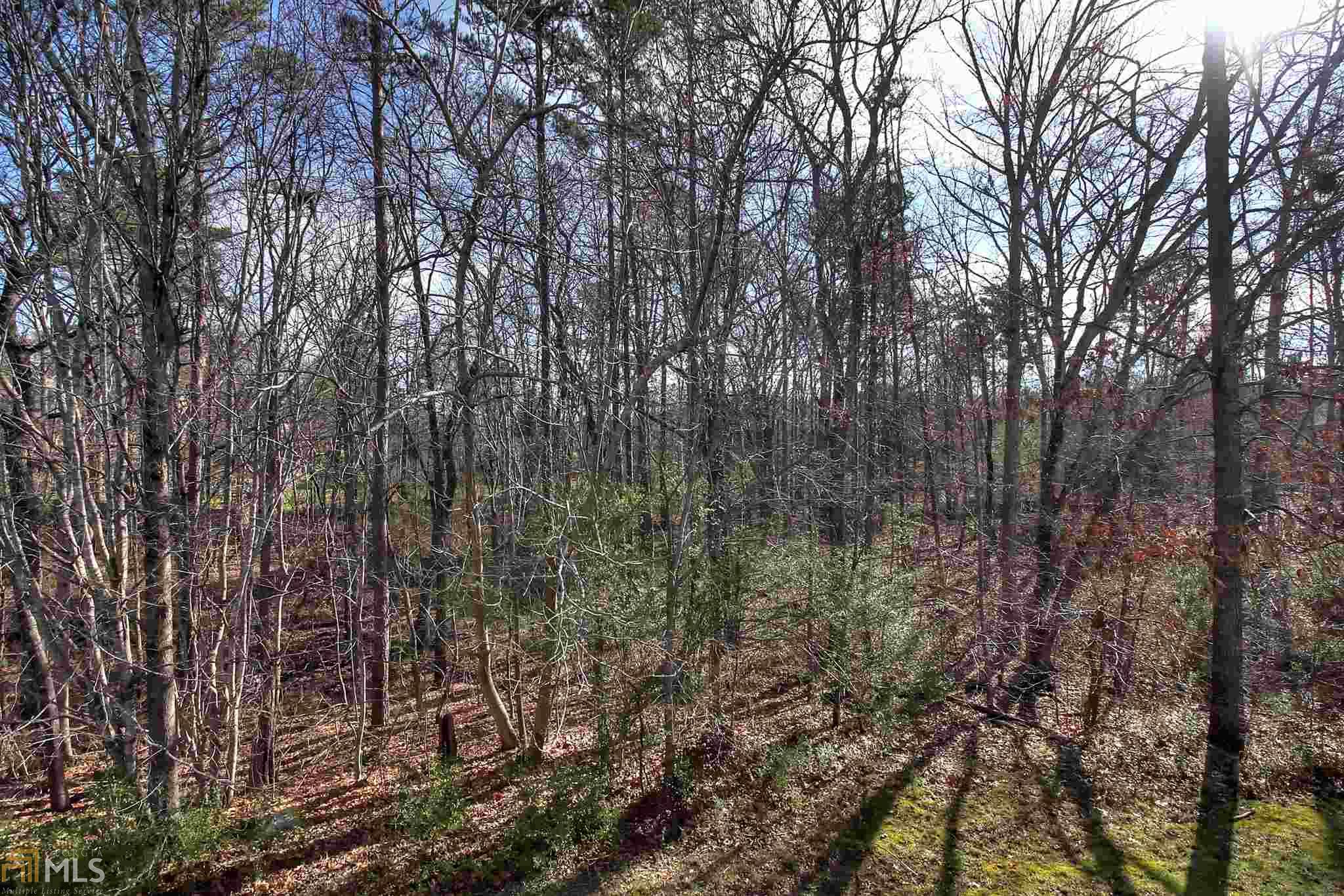 34 Harbor Ln, White, GA 30184 photo 28