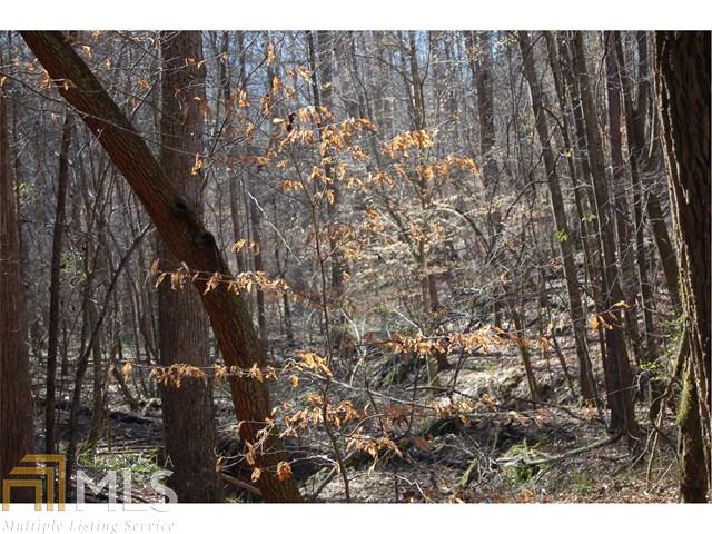 0 Fears Rd, Rutledge, GA 30663 photo 16