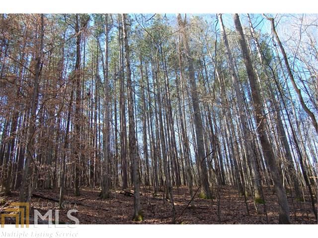 0 Fears Rd, Rutledge, GA 30663 photo 9