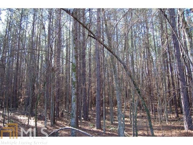 0 Fears Rd, Rutledge, GA 30663 photo 14