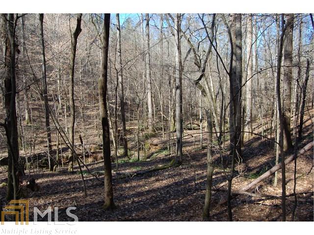 0 Fears Rd, Rutledge, GA 30663 photo 15