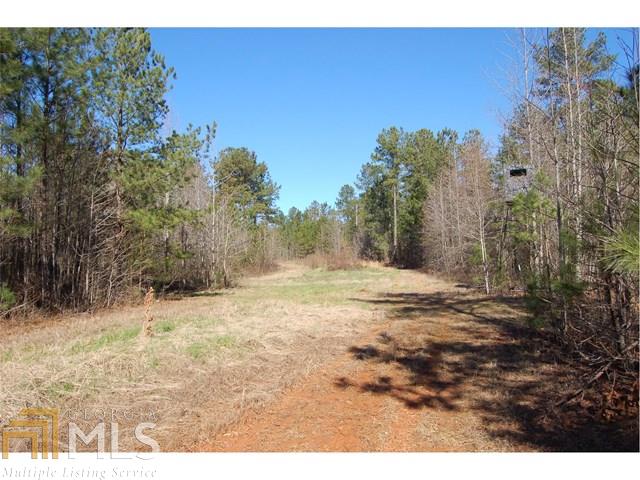 0 Fears Rd, Rutledge, GA 30663 photo 20