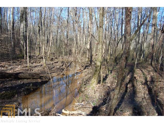 0 Fears Rd, Rutledge, GA 30663 photo 8