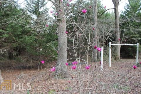 845 Culpepper Rd, Carnesville, GA 30521 photo 5