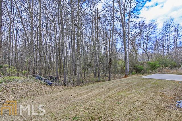1008 Bluecoat Cir, Hampton, GA 30228 photo 34