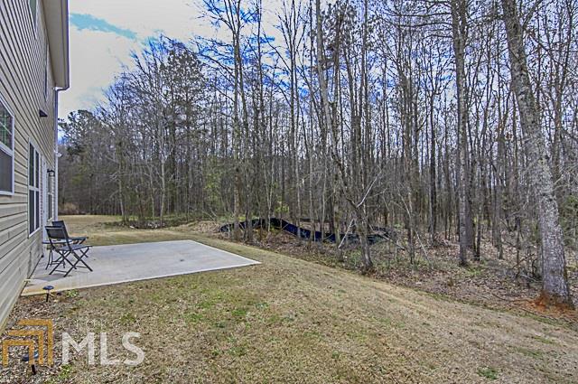 1008 Bluecoat Cir, Hampton, GA 30228 photo 33