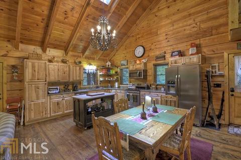1005 Hidden Lake Dr, Cherry Log, GA 30522 photo 5