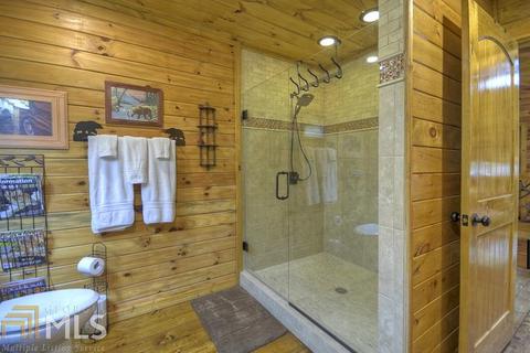 1005 Hidden Lake Dr, Cherry Log, GA 30522 photo 17