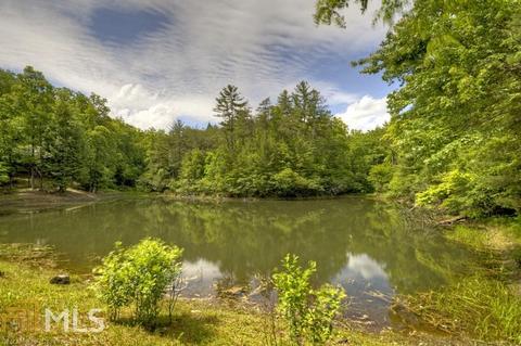 1005 Hidden Lake Dr, Cherry Log, GA 30522 photo 4