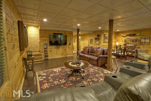 1005 Hidden Lake Dr, Cherry Log, GA 30522 photo 20