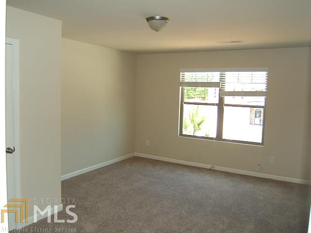 12104 Jojo Ct, Hampton, GA 30228 photo 27
