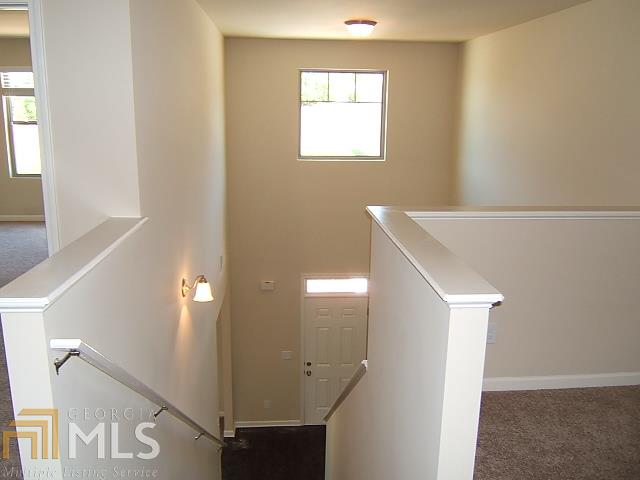 12104 Jojo Ct, Hampton, GA 30228 photo 18