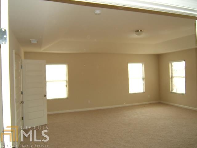 12104 Jojo Ct, Hampton, GA 30228 photo 21