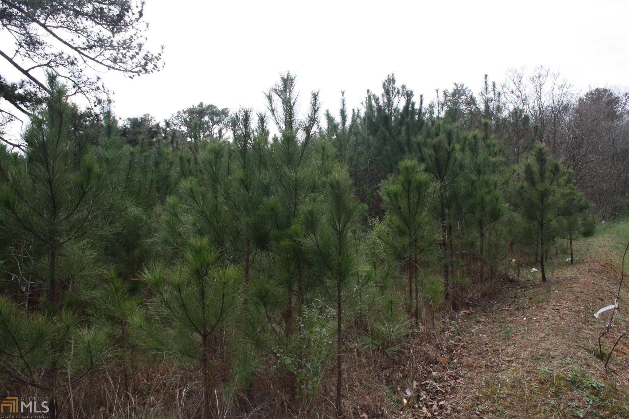 79 Daniel Dr, Stockbridge, GA 30281 photo 5