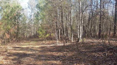 631 Macedonia Rd, Covington, GA 30014 photo 3