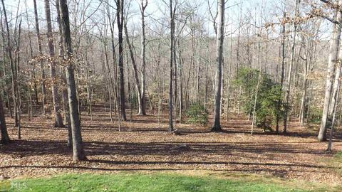 527 Herrin Rd, Cornelia, GA 30531 photo 29