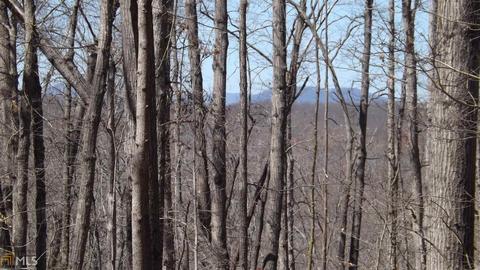 425 Herrin Rd, Cornelia, GA 30531 photo 5
