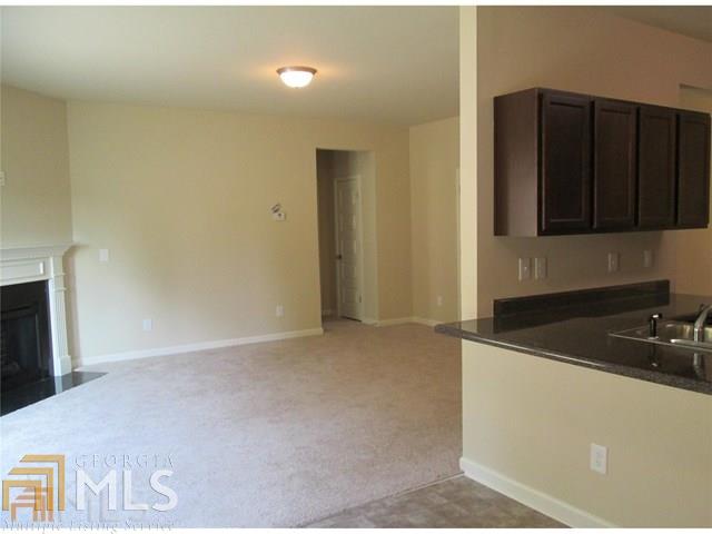 1172 Vienna Ct, Hampton, GA 30228 photo 14