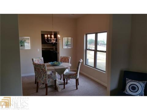 1178 Vienna Ct, Hampton, GA 30228 photo 11