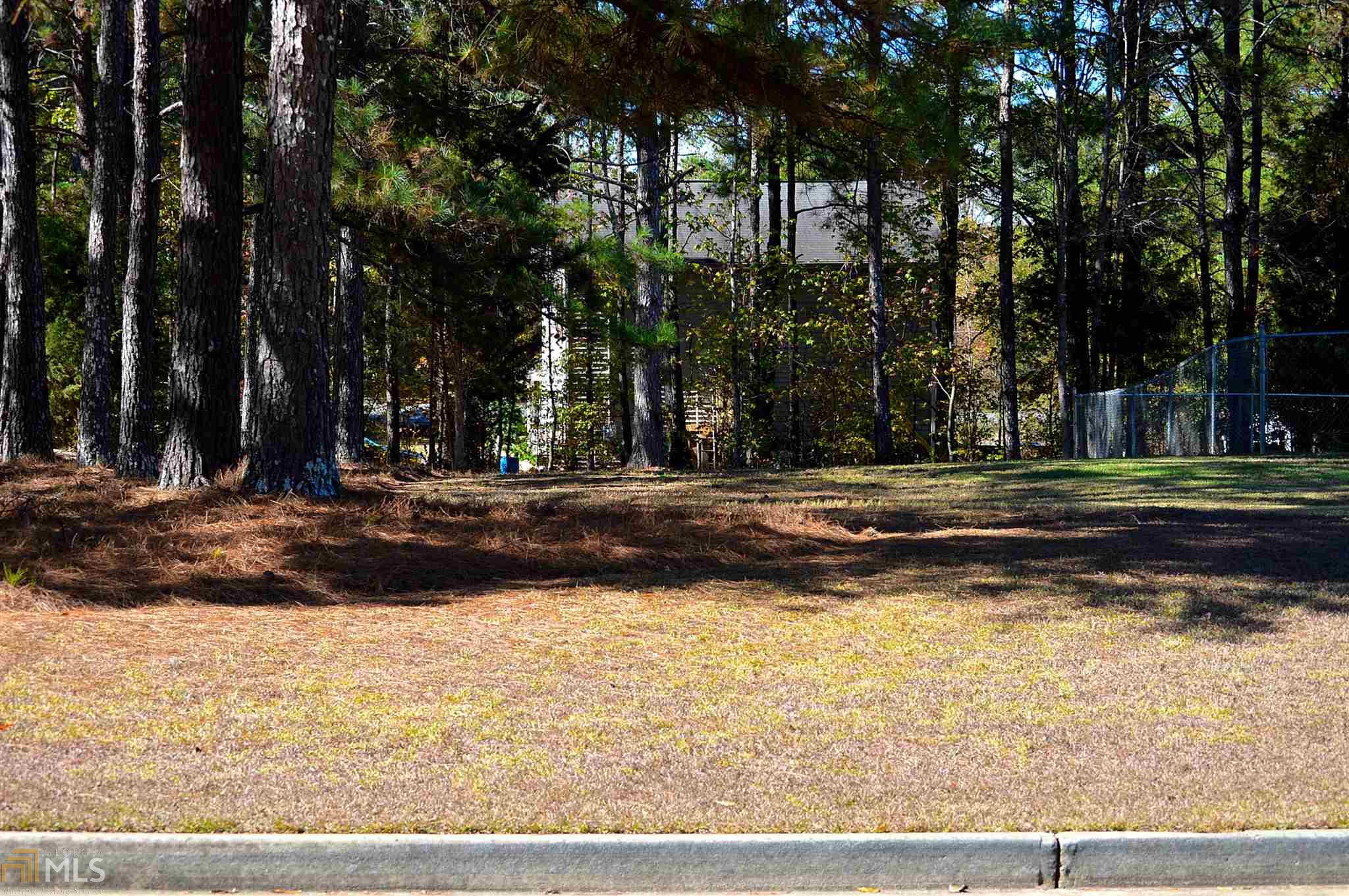 11 Willow Ridge Dr, Hampton, GA 30228 photo 4