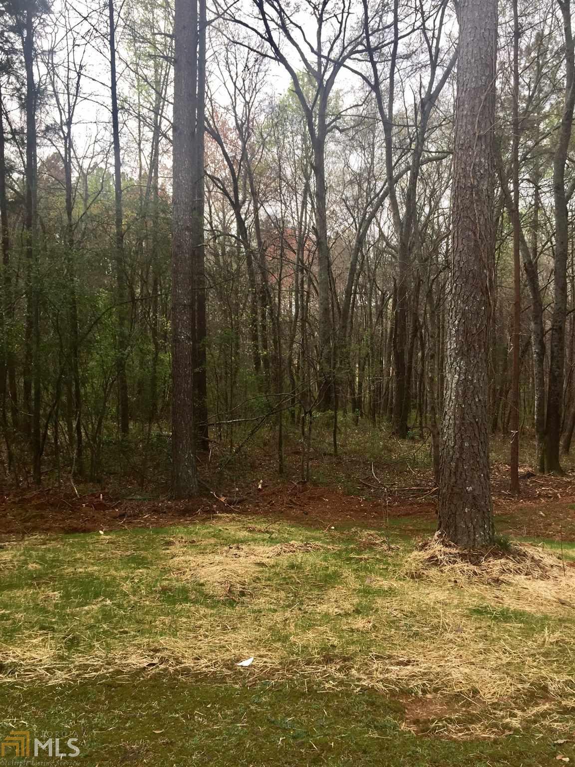 250 Crofton Rdg, Bethlehem, GA 30620 photo 20